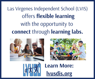 LVUSD ‘NEW’ Independent School LVUSD ‘NEW’ Independent School